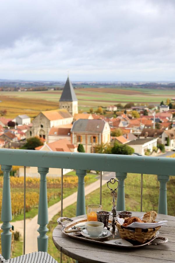 Chateau De Sacy Zewnętrze zdjęcie